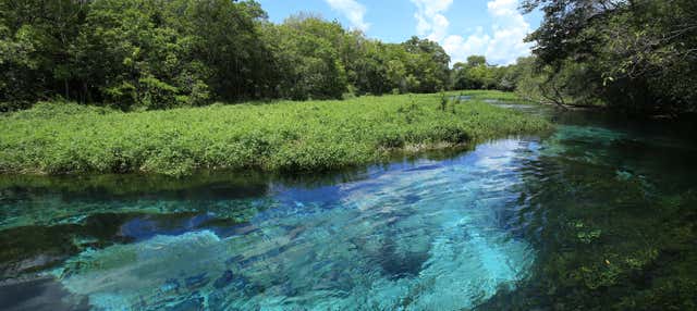 Giro in barca a Barra do Sucuri con snorkeling