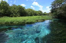 Barra do Sucuri Boat Ride & Snorkelling Tour