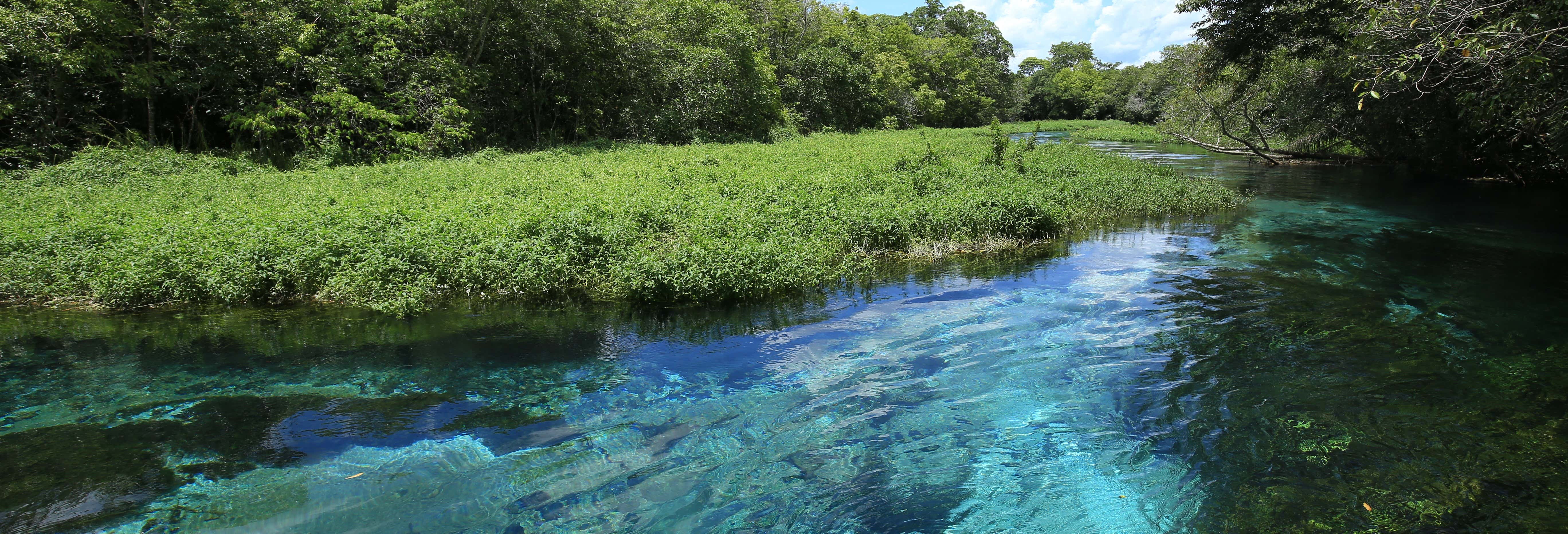 Barra do Sucuri Boat Tour & Snorkelling