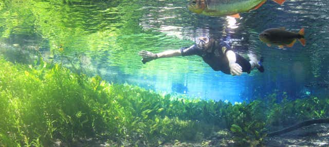 Snorkeling nel fiume Baía Bonita