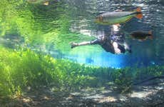 Snorkel en Aquário Natural
