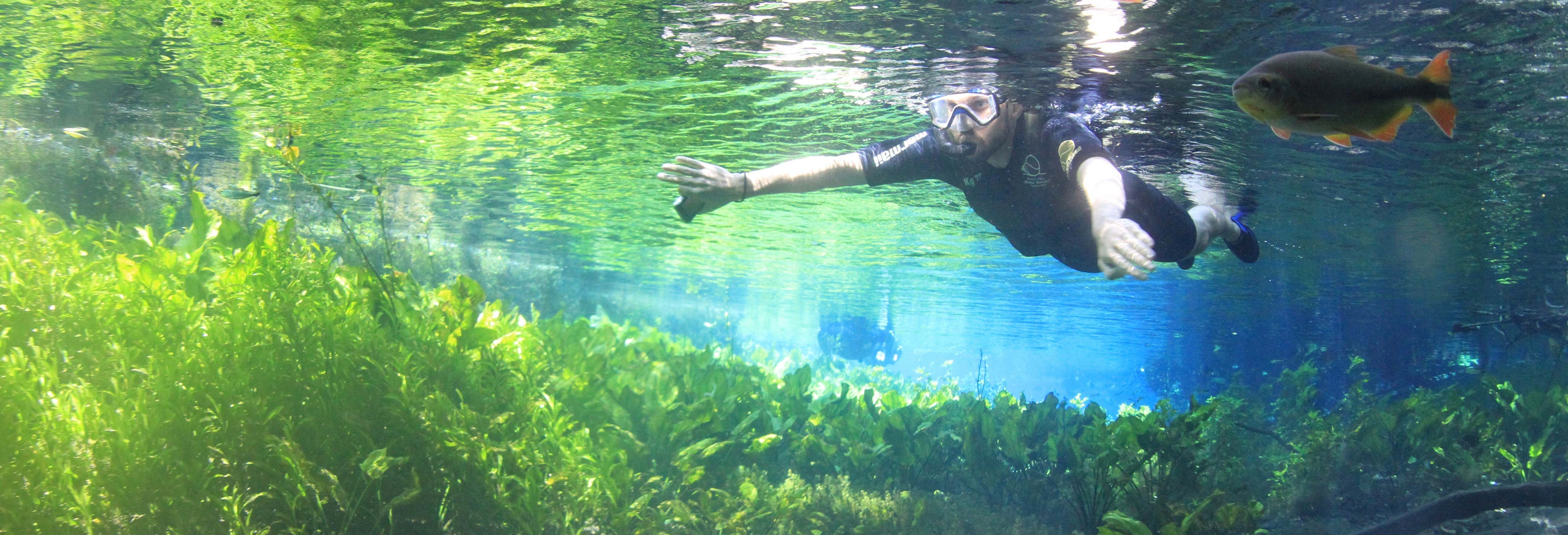 Snorkeling nel fiume Baía Bonita