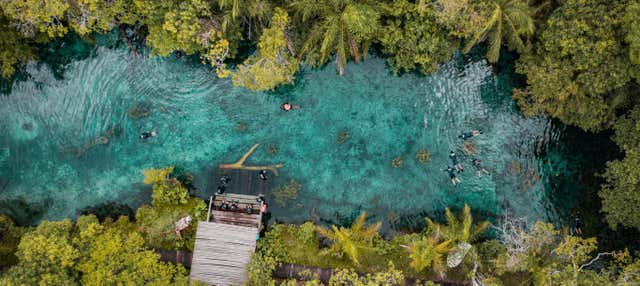 Snorkeling nel fiume Bonito