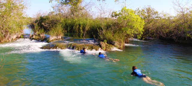 Snorkeling sul fiume Formoso