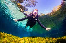 Snorkel en el río Sucuri