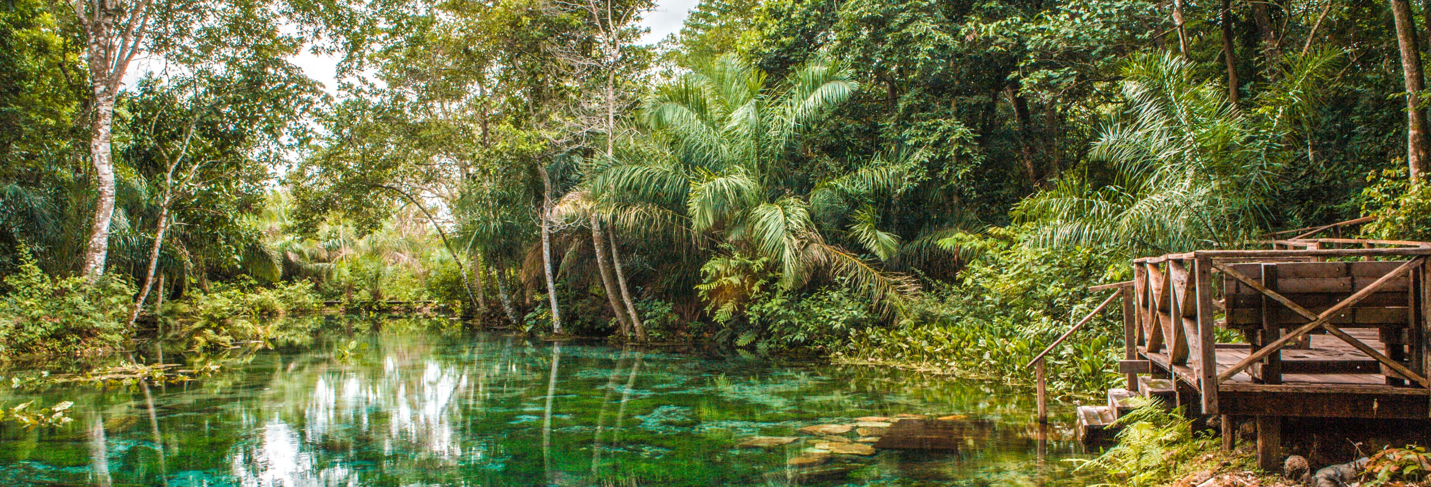 Snorkelling in the Sucuri River