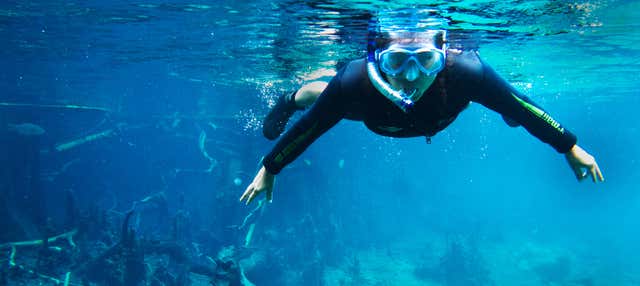 Snorkeling nei fiumi Prata e Olho d'Água