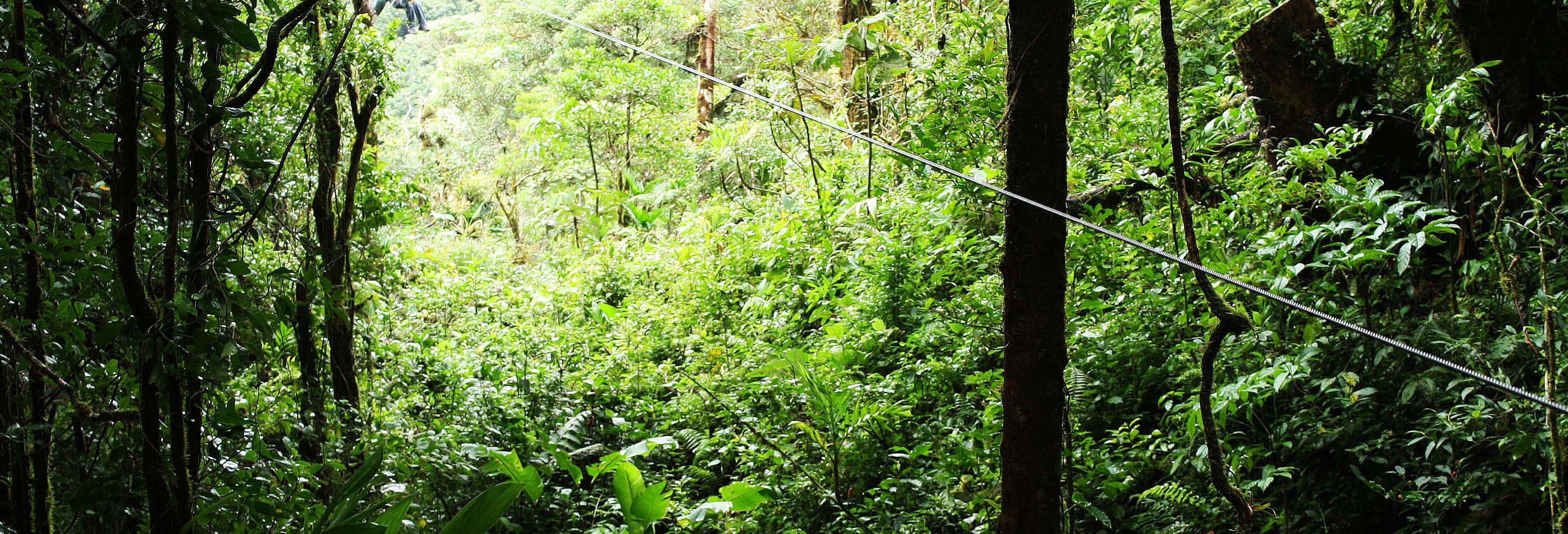 Tour d'avventura a Bonito