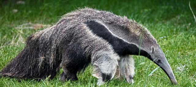 Visita guidata del Bio Park