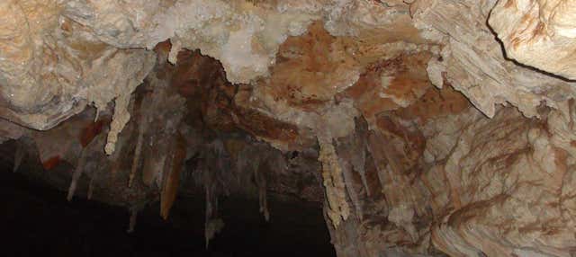Visita guidata delle grotte di São Miguel