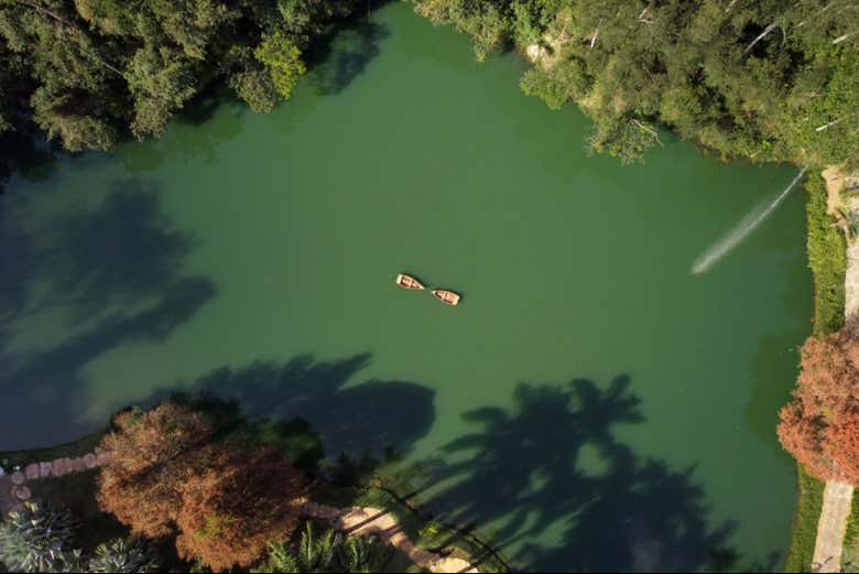 Imagen 7