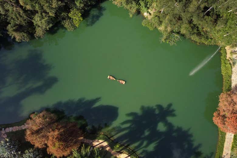 Imagen 7