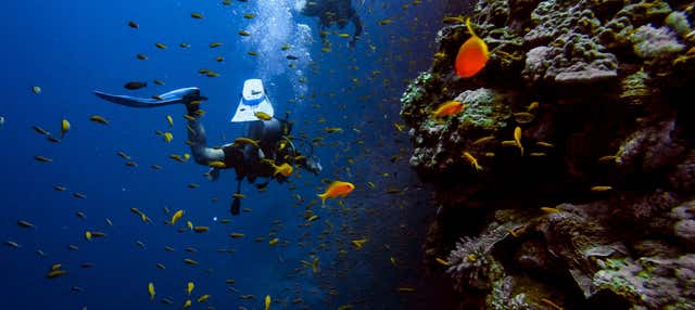 Immersione per principianti a Búzios