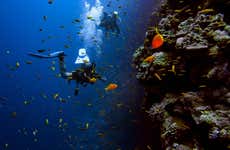 Búzios Diving Introduction