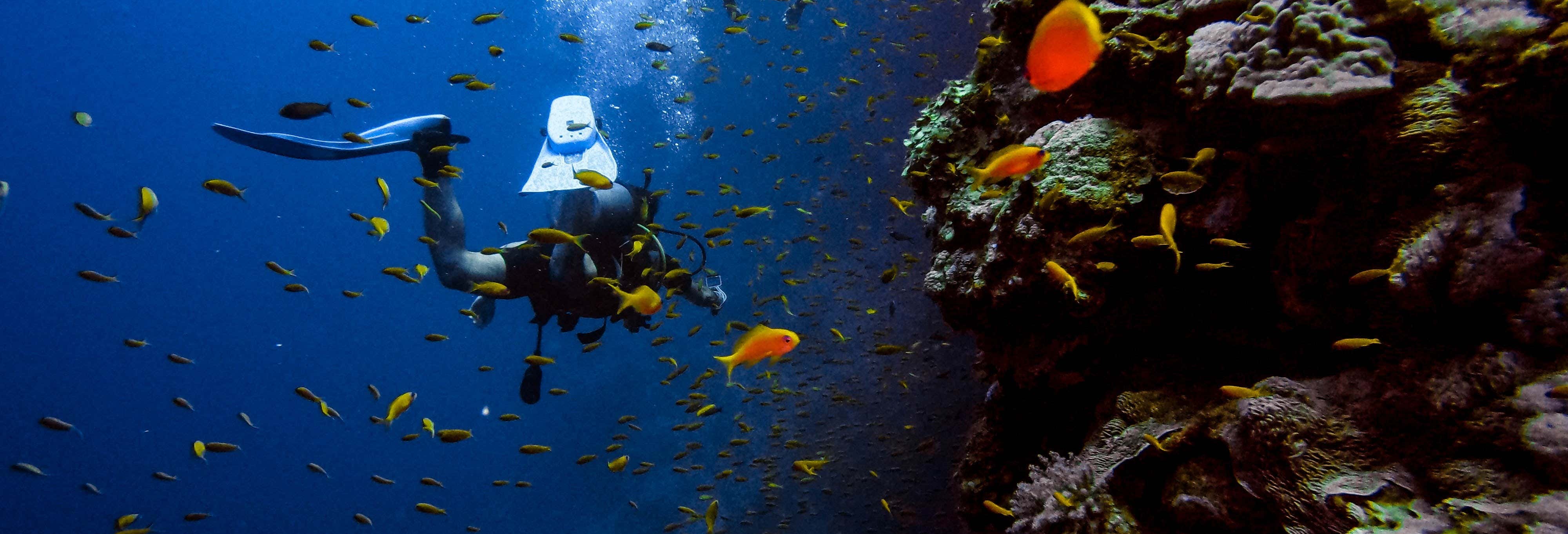 Búzios Diving Introduction