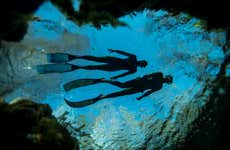 Snorkel nocturno en Búzios