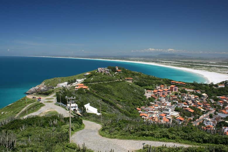 Imagen 5