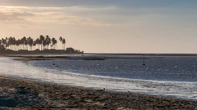 Cajueiro da Praia