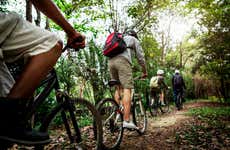 Full Day Bike Rental
