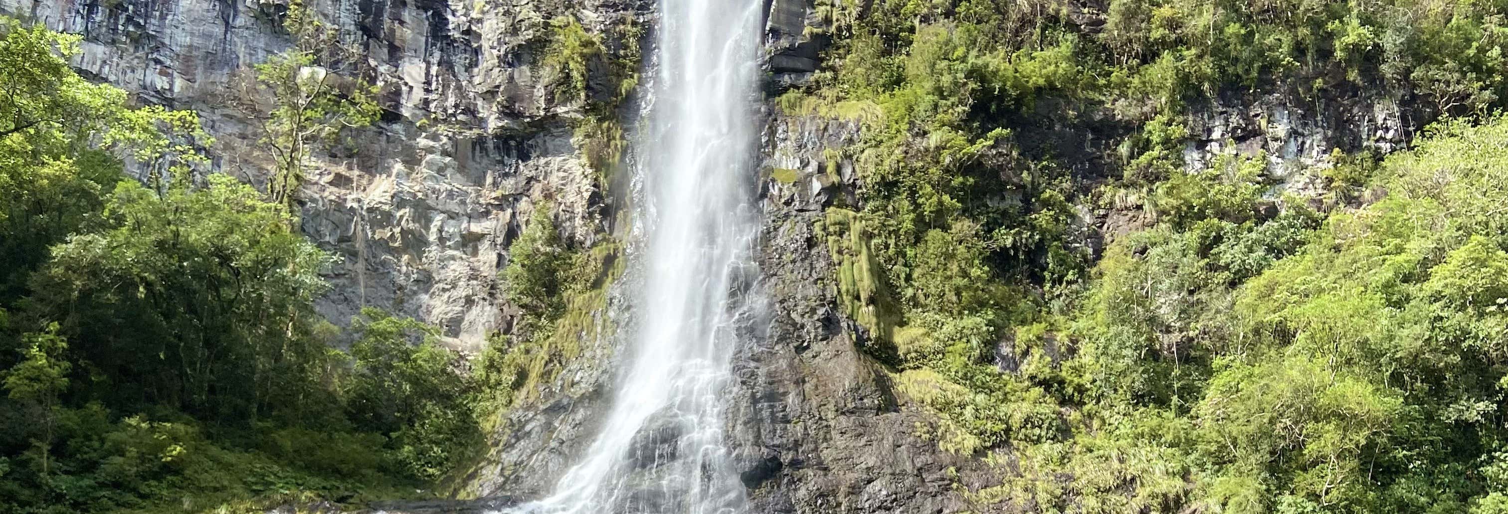 Pedra Branca Waterfall 4x4 Tour