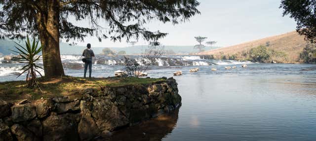Tour delle cascate di Cambará do Sul
