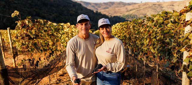 Tour del café y el vino por Espírito Santo do Pinhal