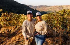 Espírito Santo do Pinhal Coffee & Wine Tour