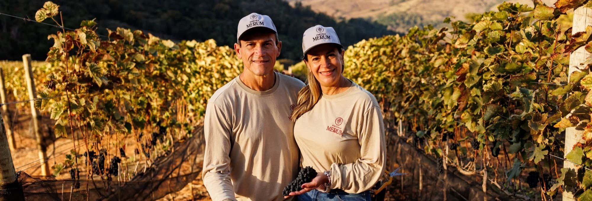 Tour del café y el vino por Espírito Santo do Pinhal