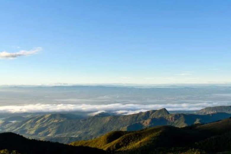 Imagen 7