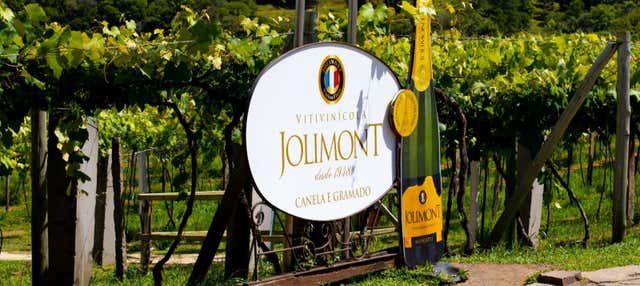 Visita alla cantina Jolimont