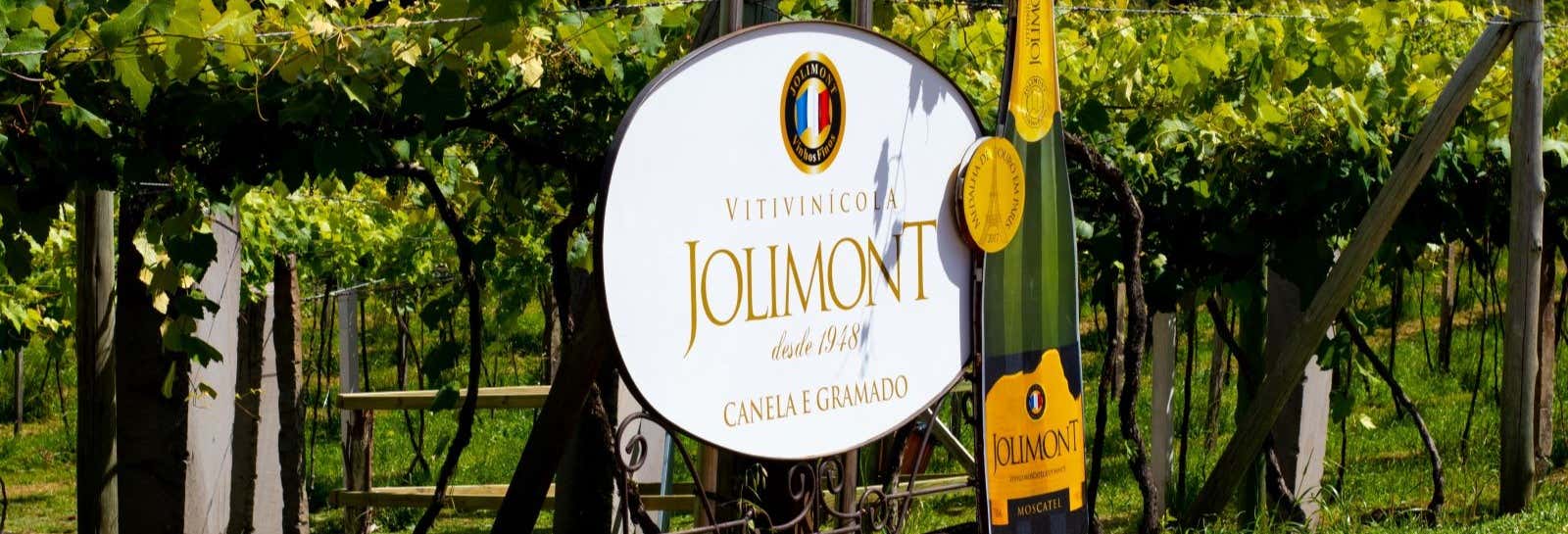 Jolimont Winery Tour