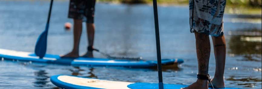 Zero Wake Park Day Trip