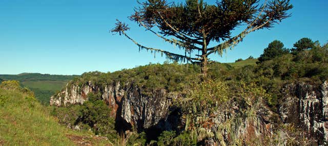 Escursione al canyon di Palanquinhos e ai campi di Criúva