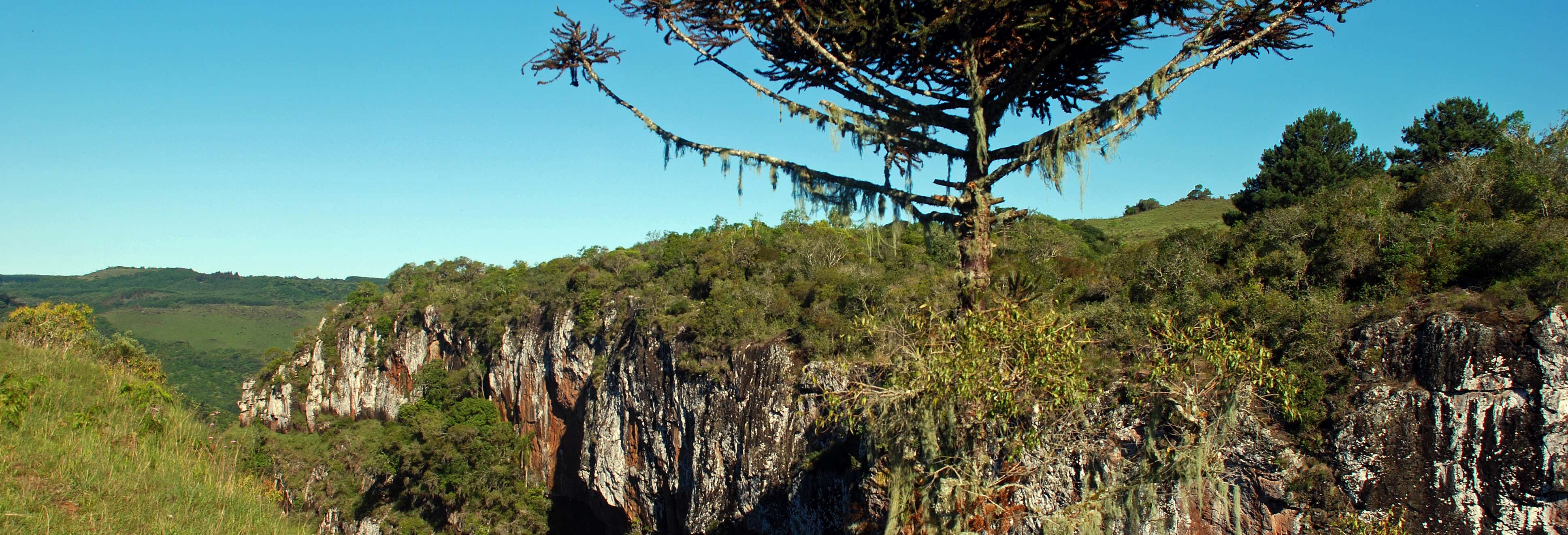 Escursione al canyon di Palanquinhos e ai campi di Criúva