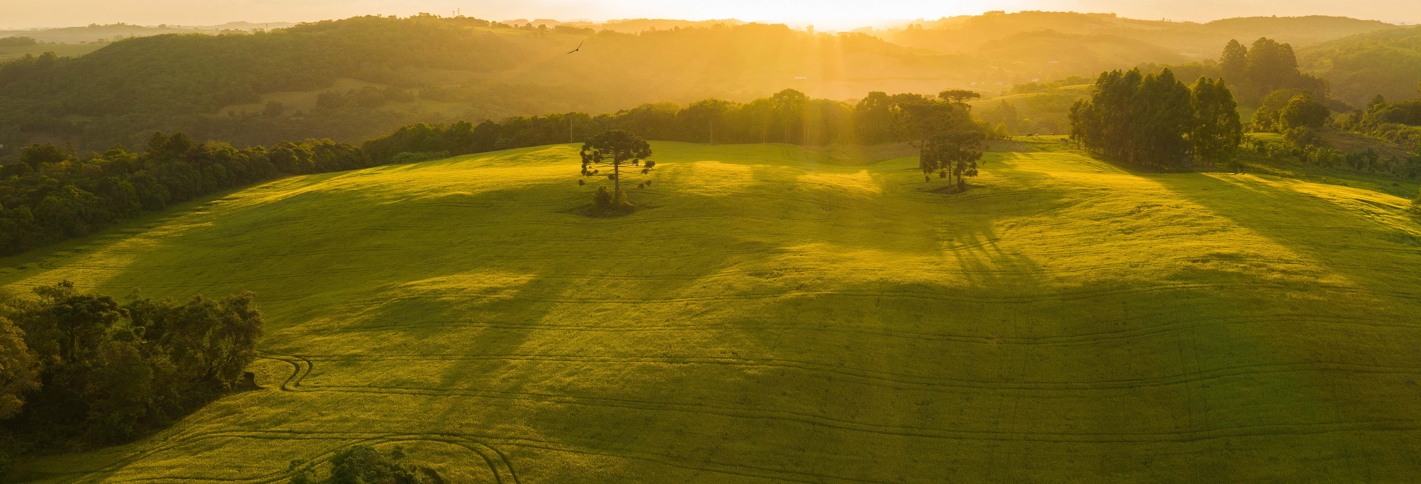 Escursione a Cotiporã