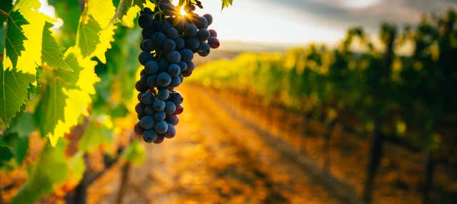 Escursione a Faria Lemos