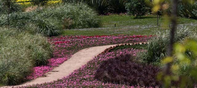 Escursione a São Francisco de Paula