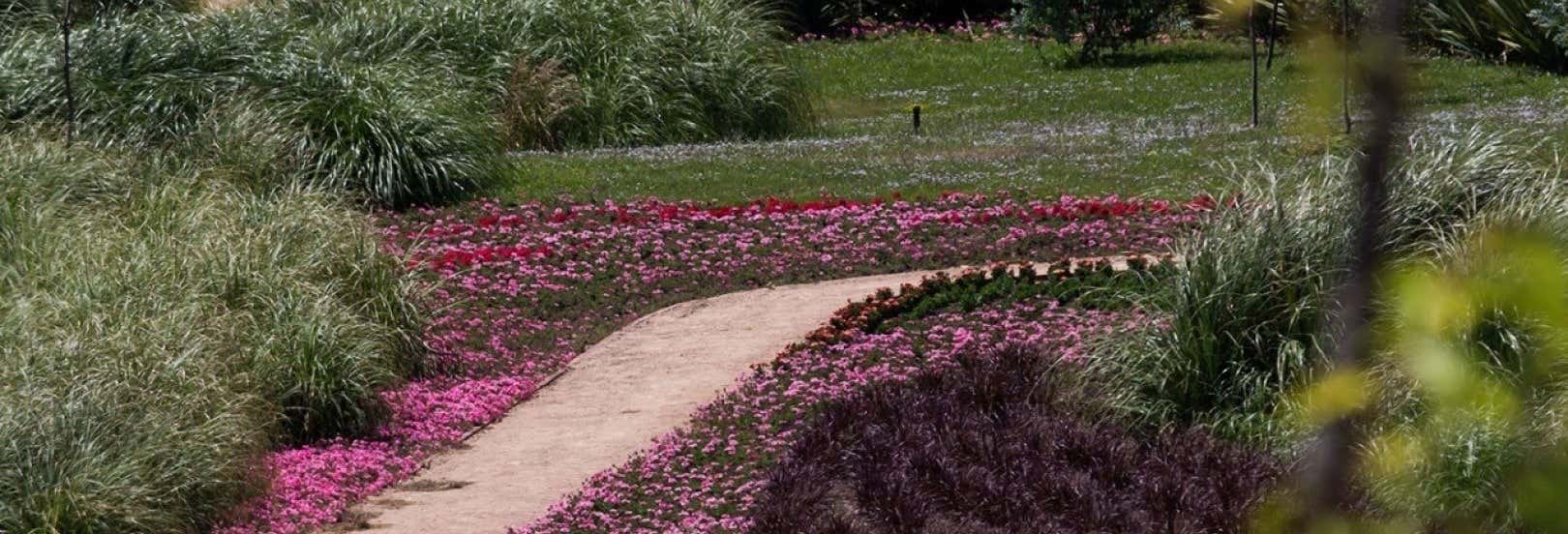 Escursione a São Francisco de Paula