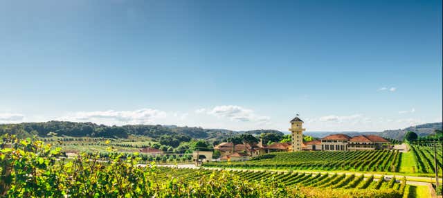 Escursione a Vale dos Vinhedos