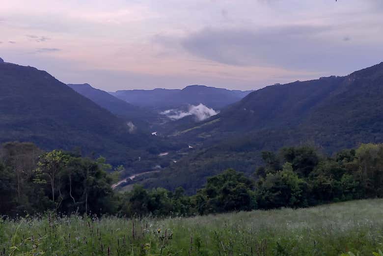 Imagen 7