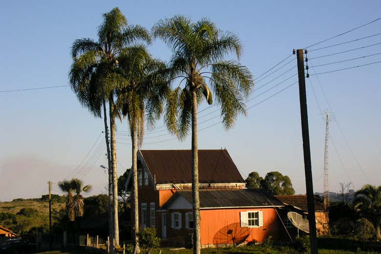 Imagen 3