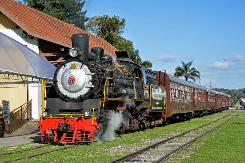 Imagen 5