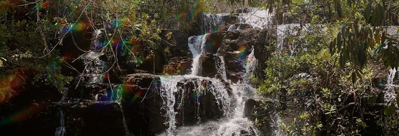 Águas do Cerrado Waterfalls Hiking Tour