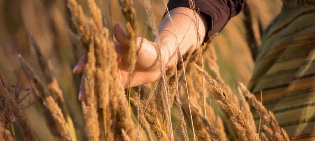 Tour della birra a Curitiba
