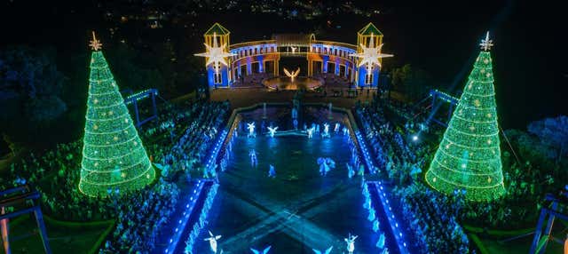 Tour natalizio a Curitiba