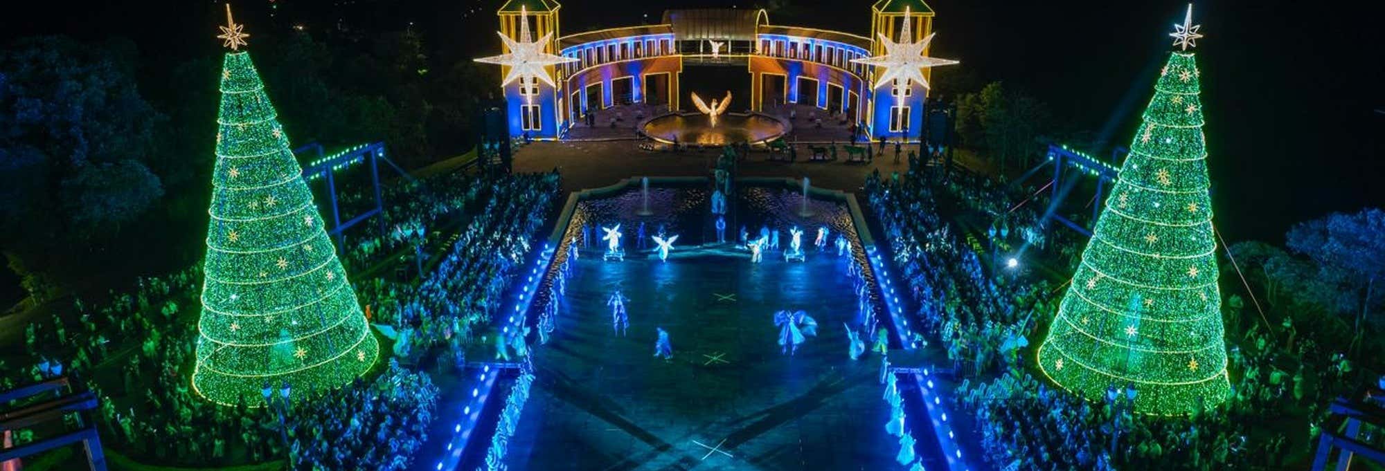 Tour natalizio a Curitiba