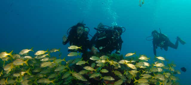 Immersione a Fernando de Noronha