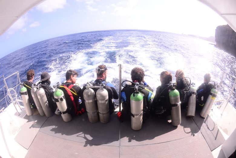 Fernando de Noronha Diving Excursion