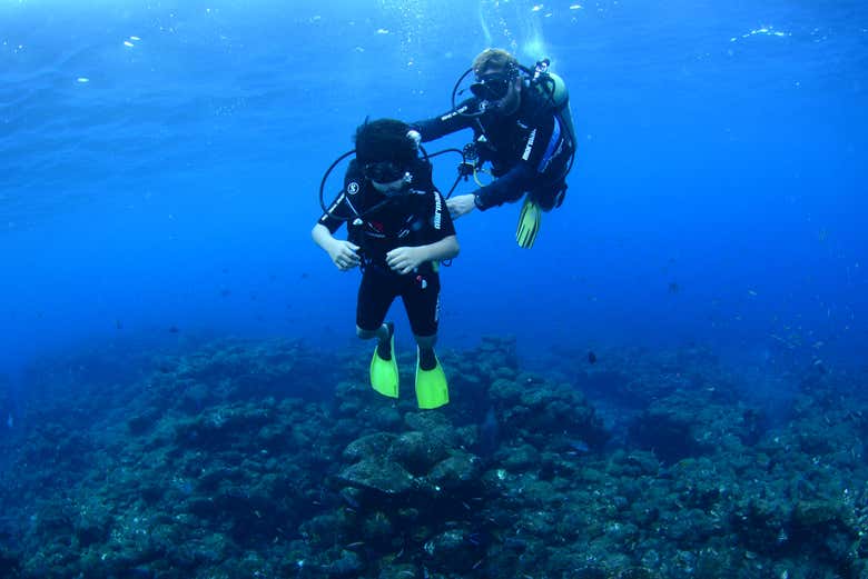 Fernando de Noronha Beginners Scuba Diving Lesson