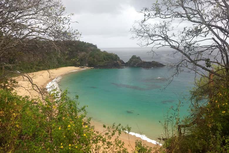 Fernando de Noronha Island Tour